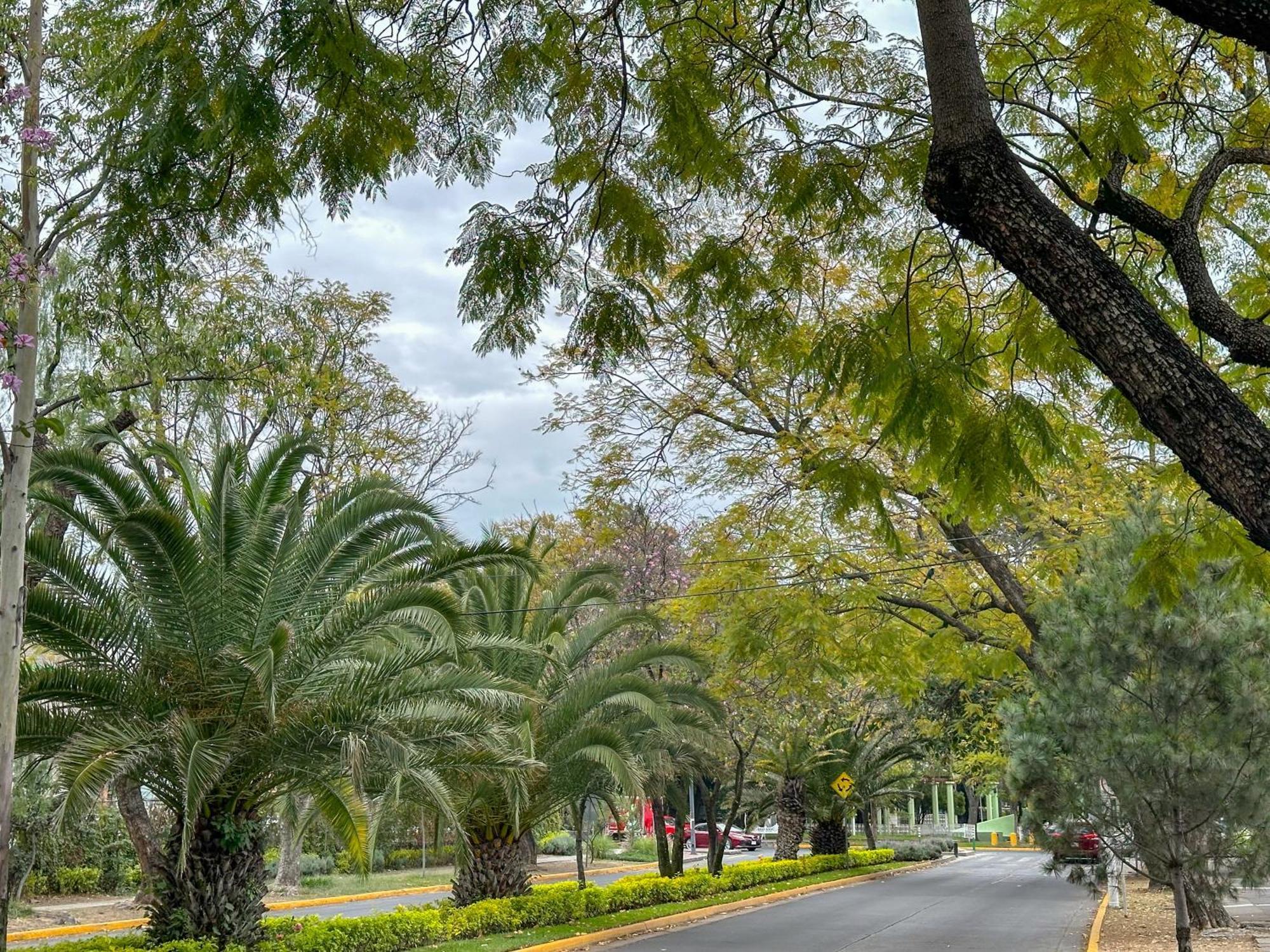 Apartamento Roof Estudio Vista A La Gta, Chapalita Guadalajara Exterior foto